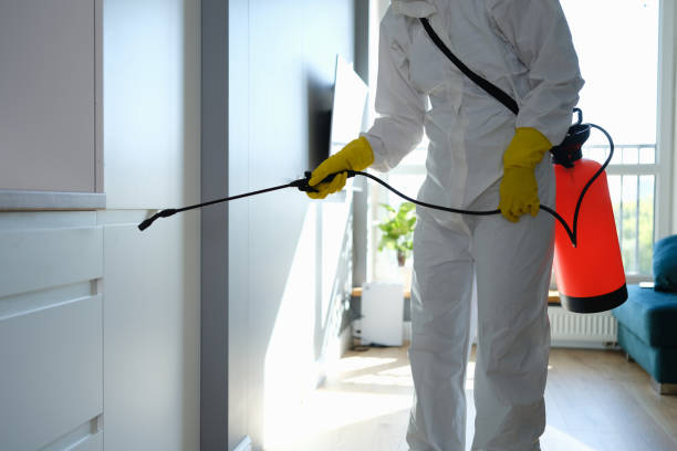 Professional Mold Removal in Buchanan Dam, TX