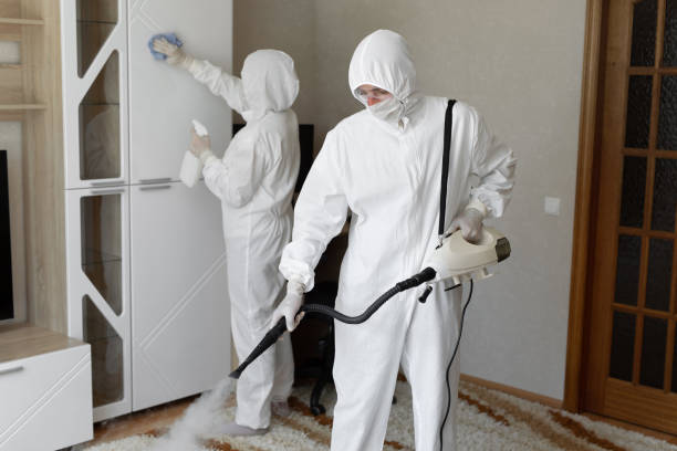 Best Crawl Space Mold Removal  in Buchanan Dam, TX