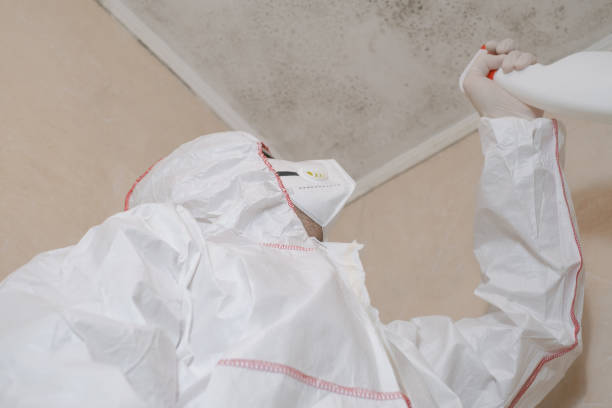 Best Mold Testing and Removal  in Buchanan Dam, TX