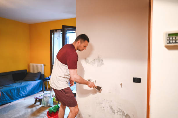Best Attic Mold Removal  in Buchanan Dam, TX